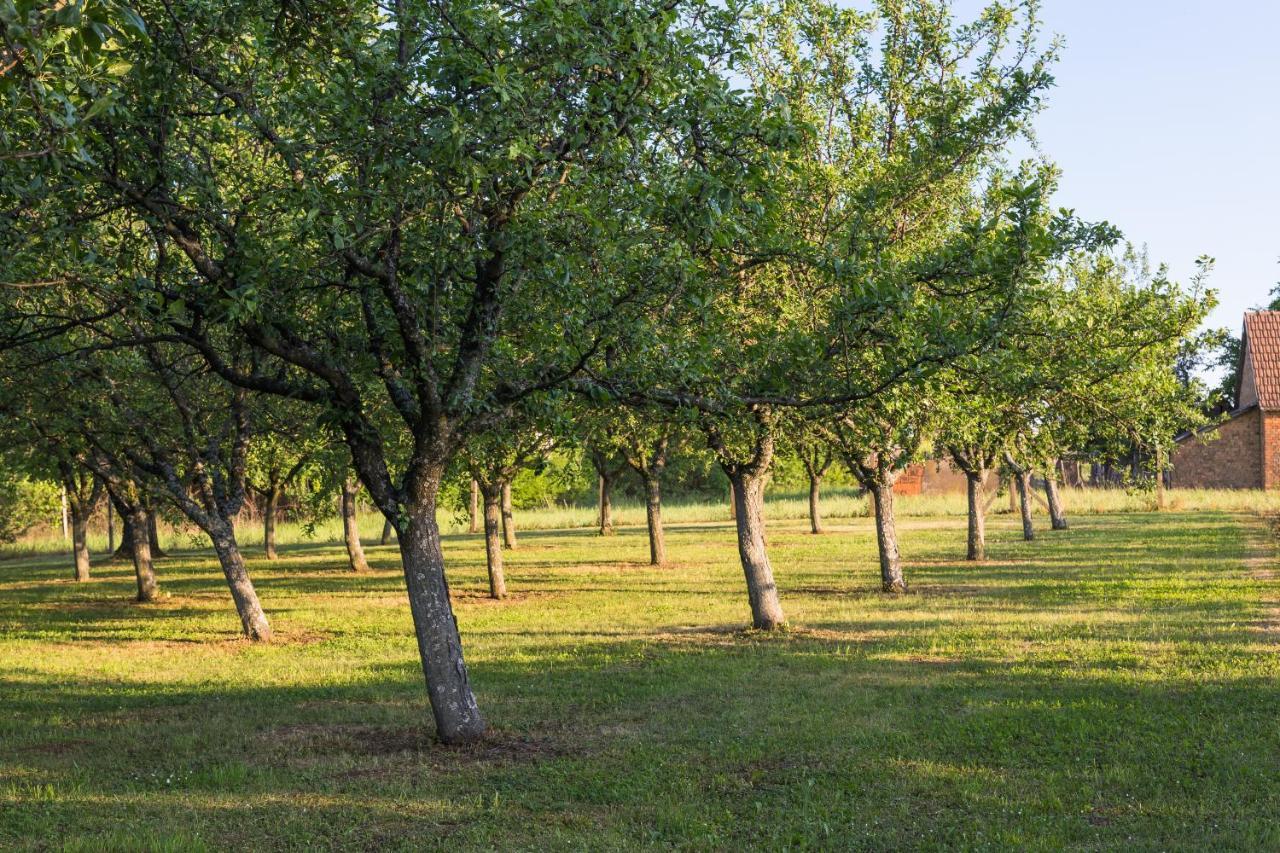 Village Wine House Mandicevac Εξωτερικό φωτογραφία