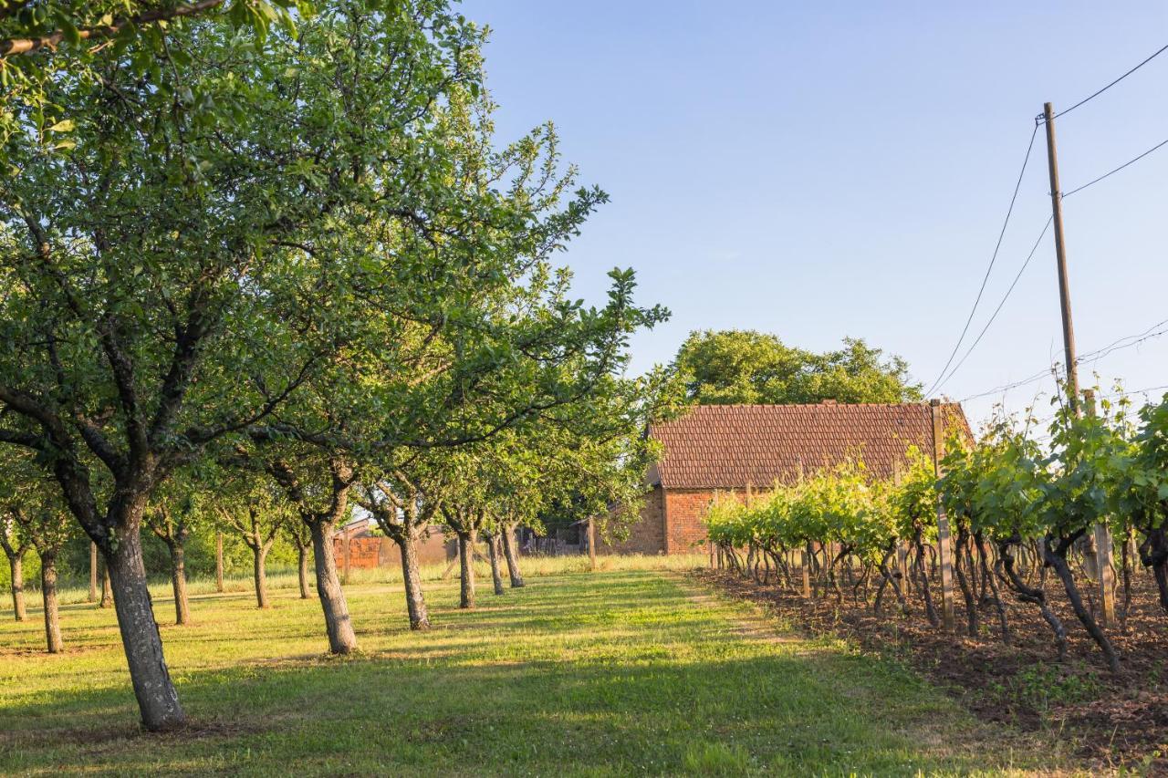 Village Wine House Mandicevac Εξωτερικό φωτογραφία