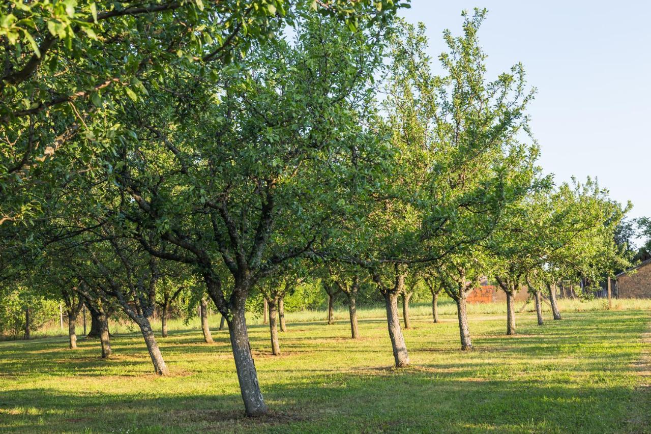 Village Wine House Mandicevac Εξωτερικό φωτογραφία