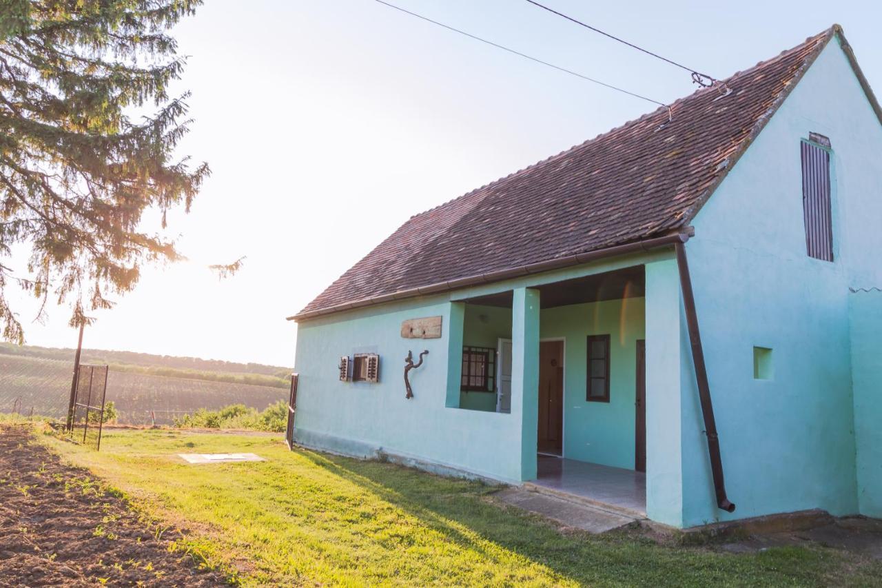Village Wine House Mandicevac Εξωτερικό φωτογραφία