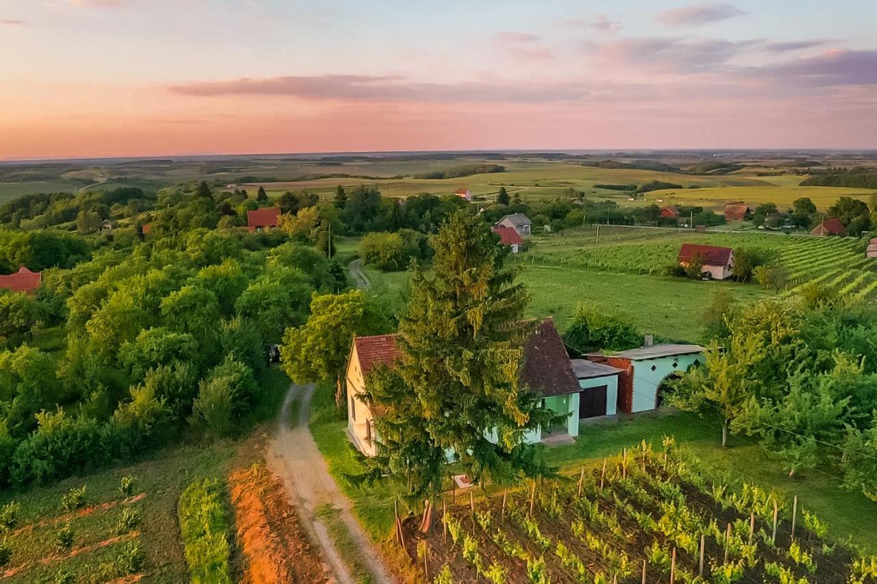 Village Wine House Mandicevac Εξωτερικό φωτογραφία