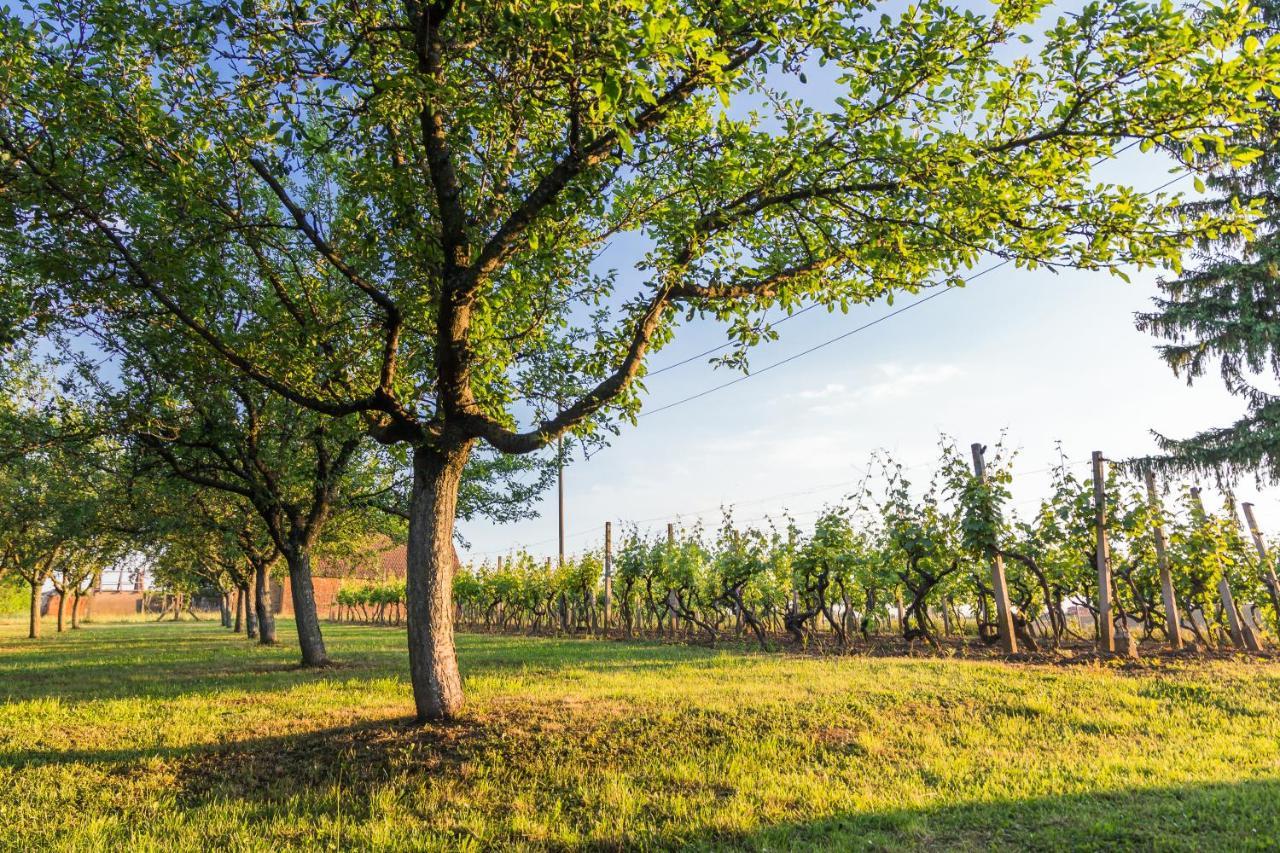 Village Wine House Mandicevac Εξωτερικό φωτογραφία