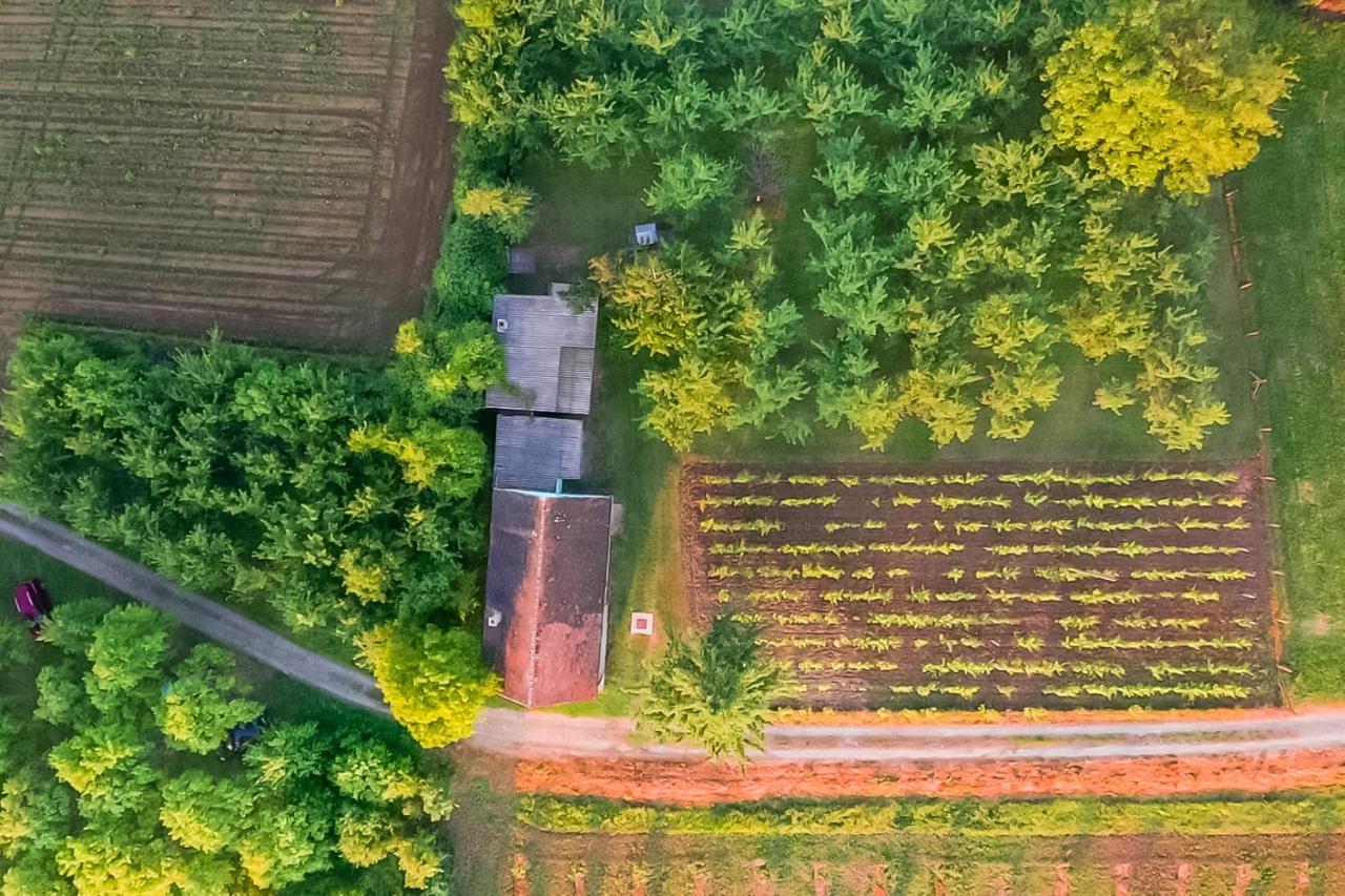 Village Wine House Mandicevac Εξωτερικό φωτογραφία